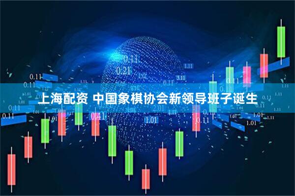 上海配资 中国象棋协会新领导班子诞生